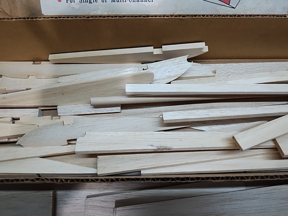 DAVE ROBELEN S PRONTO MODEL PLANE