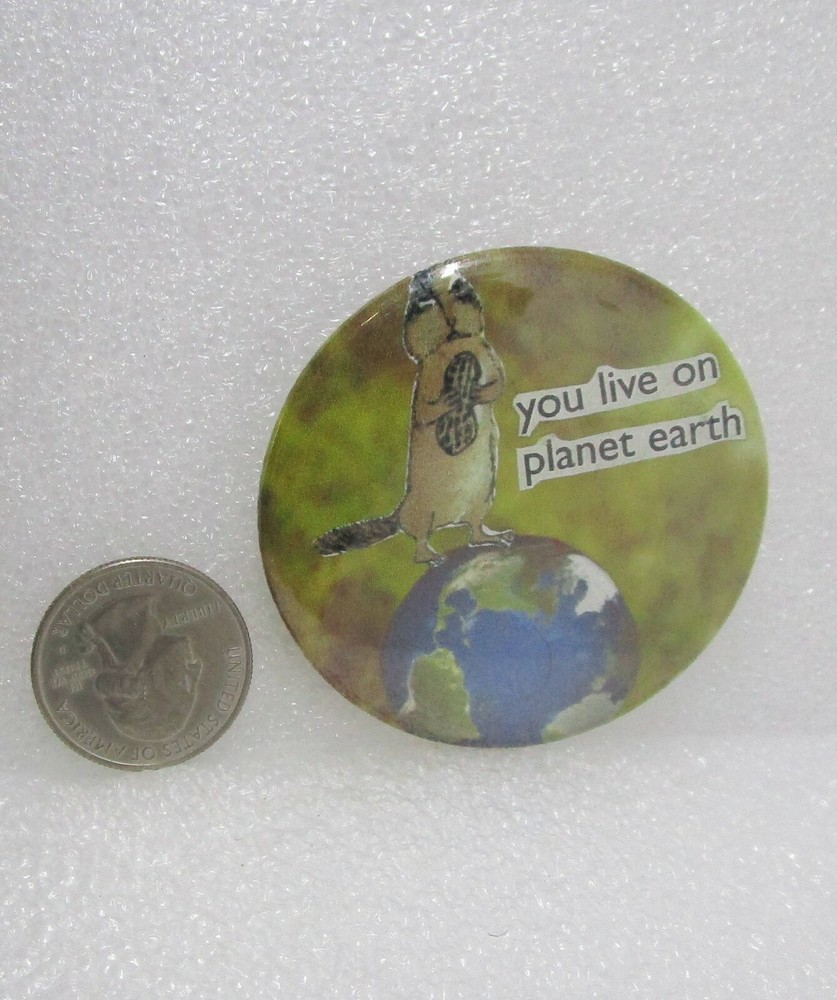 You Live On Planet Earth Button Pin