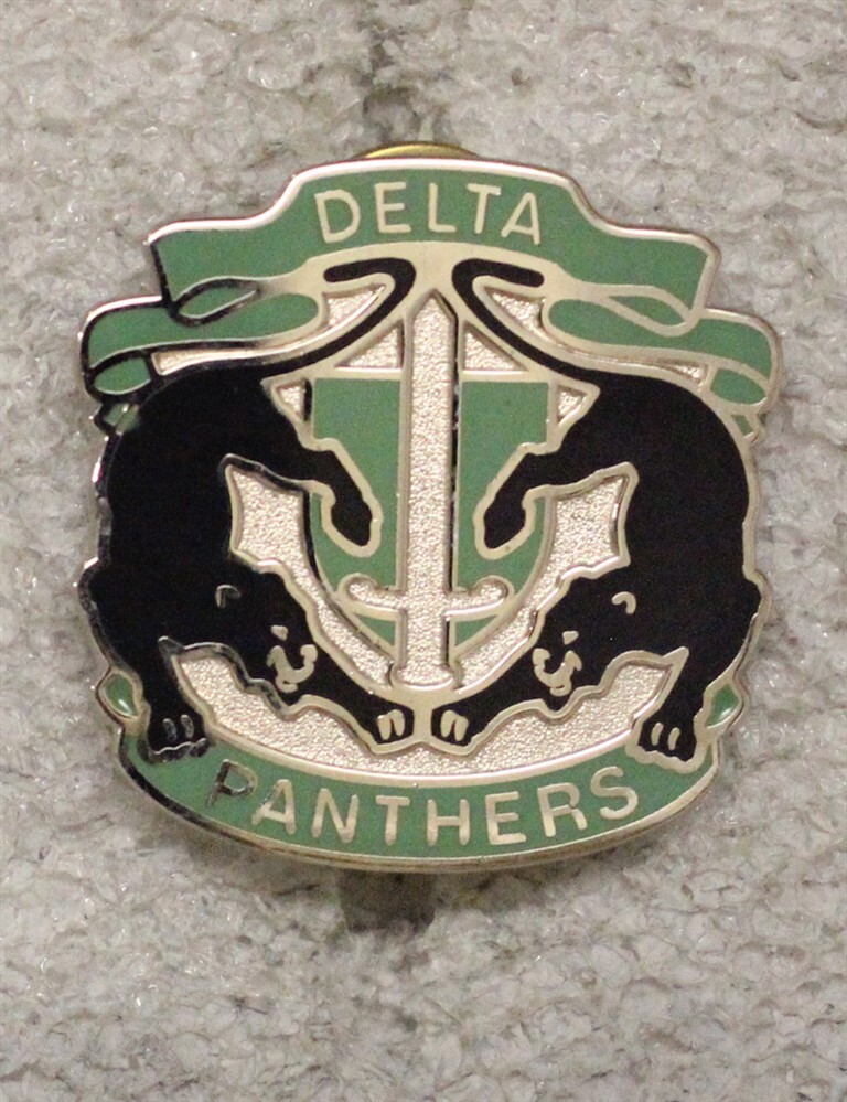 Army ROTC DI Pin: Delta High School - c/b, S-38