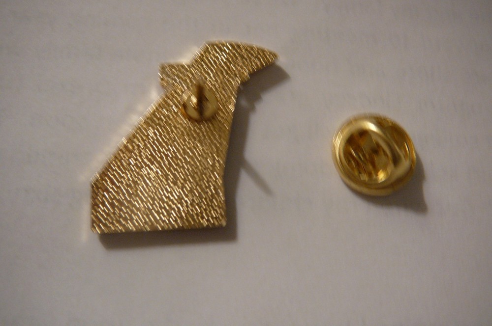 CARNIVAL CRUISE LINES ENCOUNTER LAPEL HAT PIN AND IRON ON PATCH