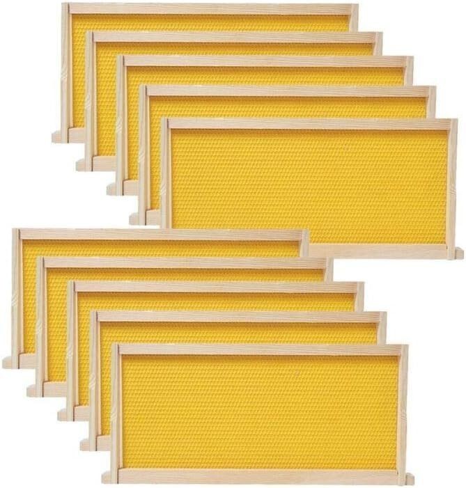 Medium Beehive Frames and Wax Foundations 10 Pack Honey Bee Frames 6-1/4-Inch