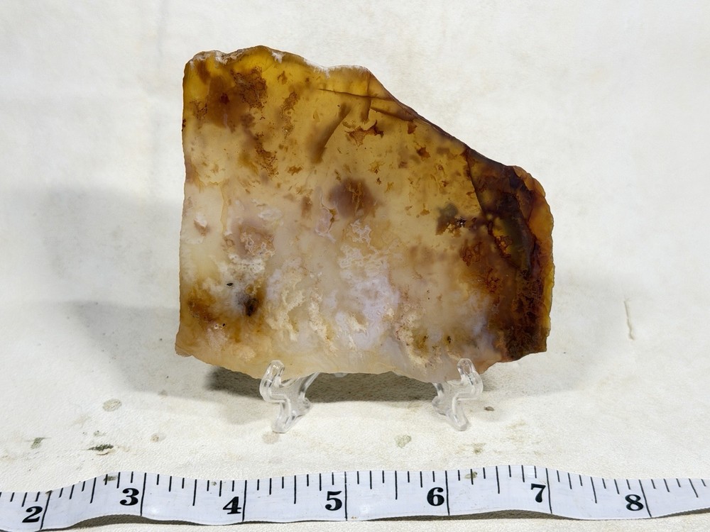 Graveyard Point Plume Slab, Lot#214