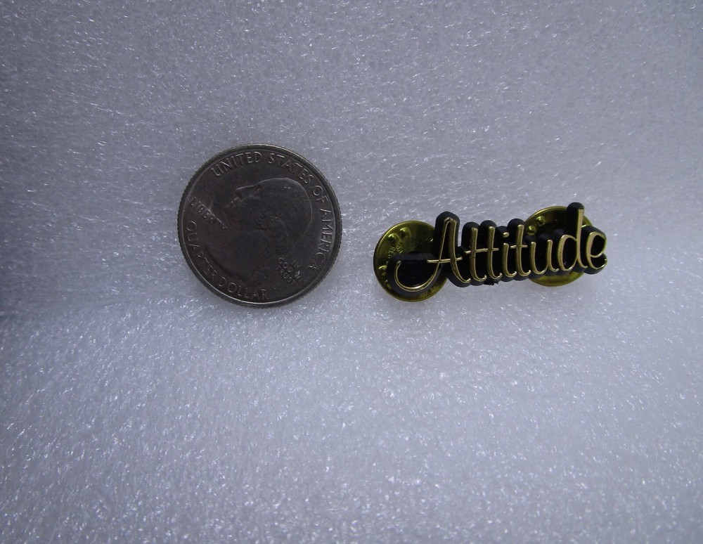 Attitude Plastic Pin