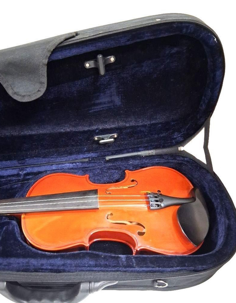 Amadeus 3/4 Acoustic Student Violin with Case