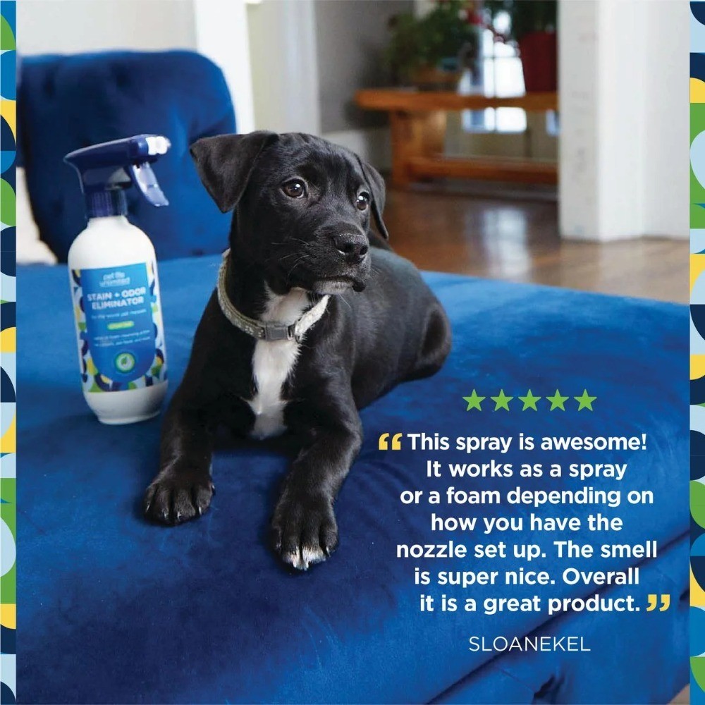 Pet Stain & Odor Remover Foaming, Juniper Leaf, 16 fl oz