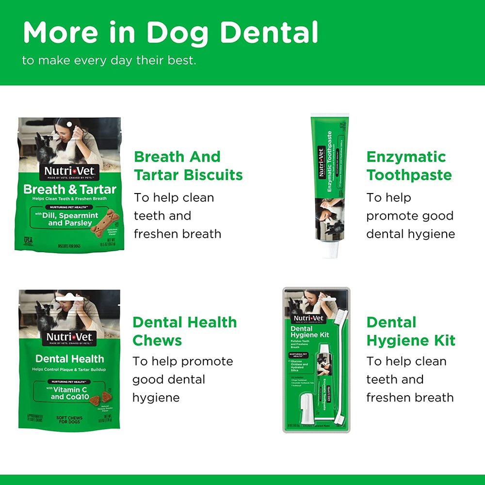 Enzymatic Chicken Flavored Canine Toothpaste