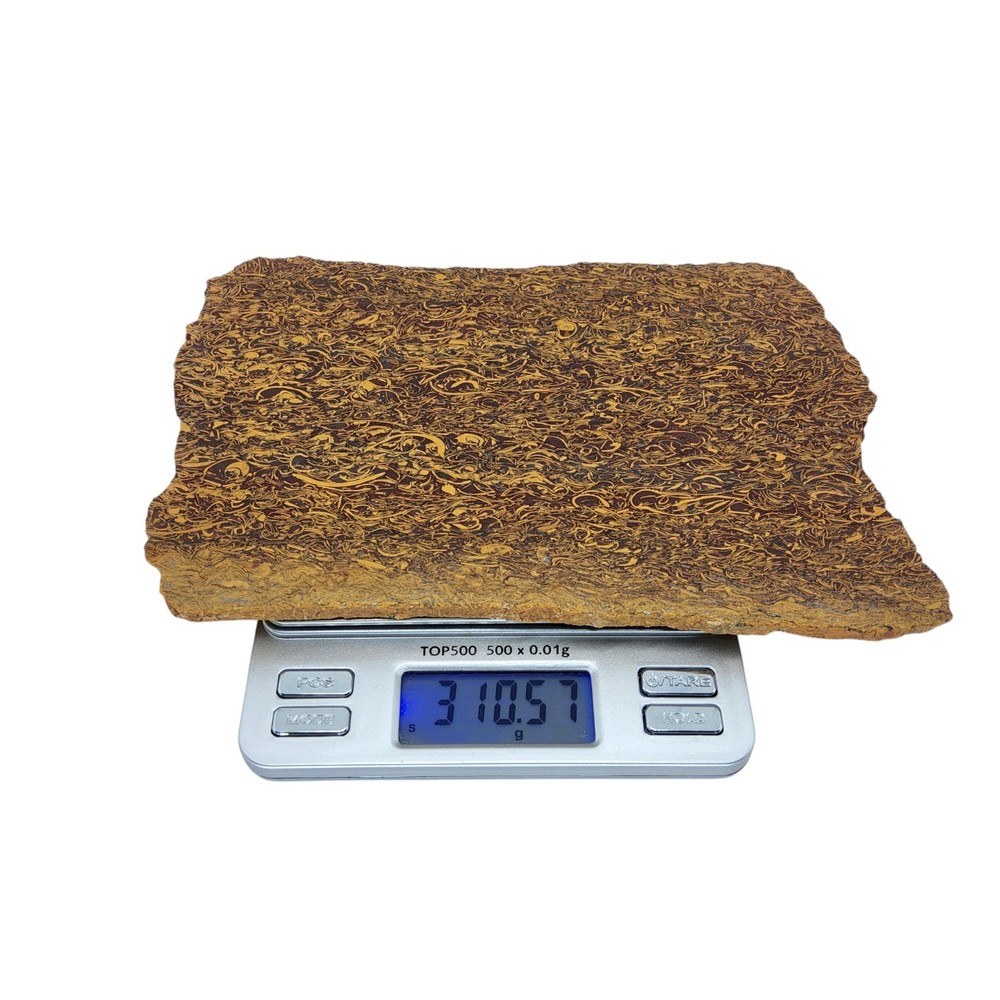 Calligraphy Jasper, Script Stone, slab, cabbing rough, #R-7053