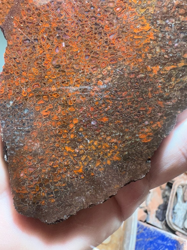 Dinosaur bone rough **hxtled slab.