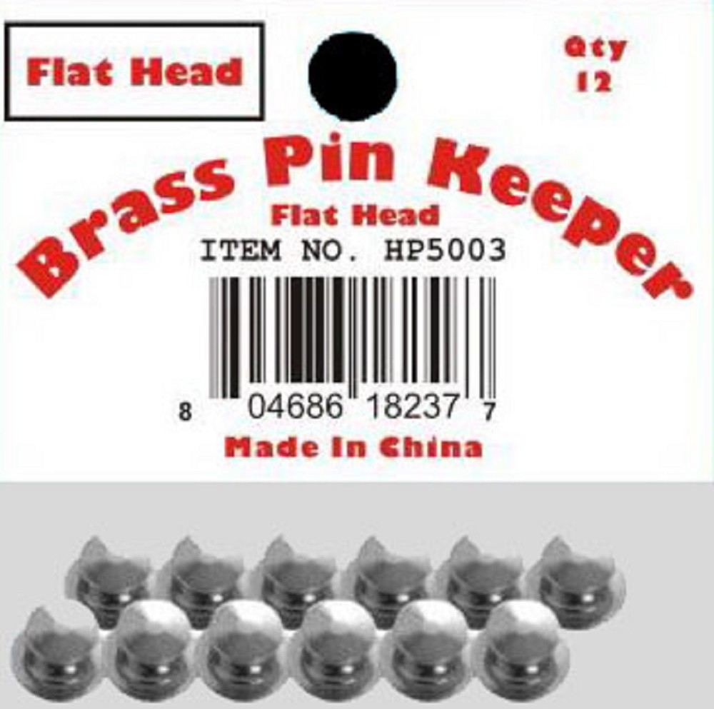 ( 24 Pieces ) Pin Keepers backs Locks Locking (Flat Head Silver)