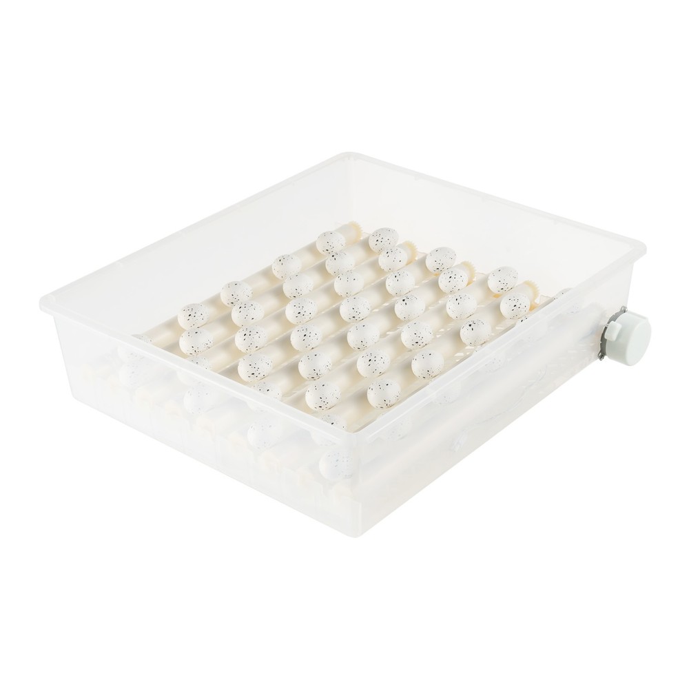 64 Digital Eggs Incubator Egg Hatcher With Temperature Control Automatic Turner