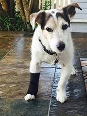 Carpal Wrist Wrap (medium 3"-4") medium 3"-4"
