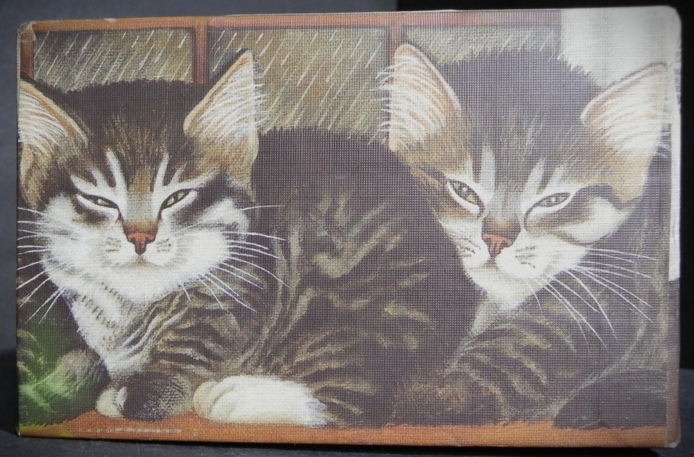 Bob's Boxes Tissue Box Cover Rainy Window Cats Kittens pre-owned