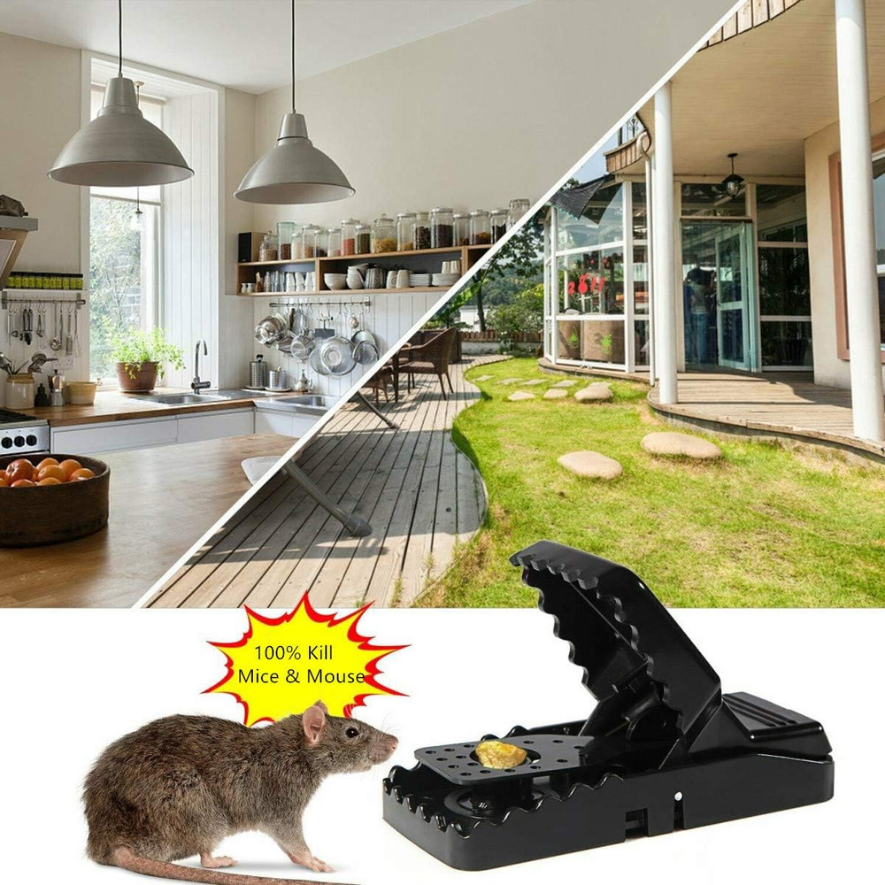 Mouse Trap, Mice Traps That Work Best Snap Traps for Small Mice and Mouse