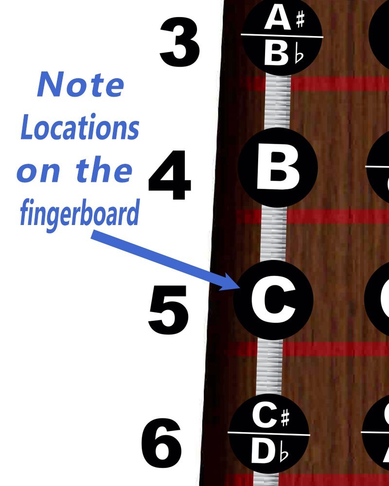 LAMINATED Violin Fiddle Fingerboard Notes Instructional Poster Wall Chart Theory