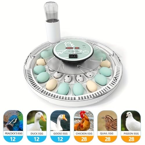 Egg Incubator for Hatching 28 Eggs, Auto Flip, Independent Atomizing