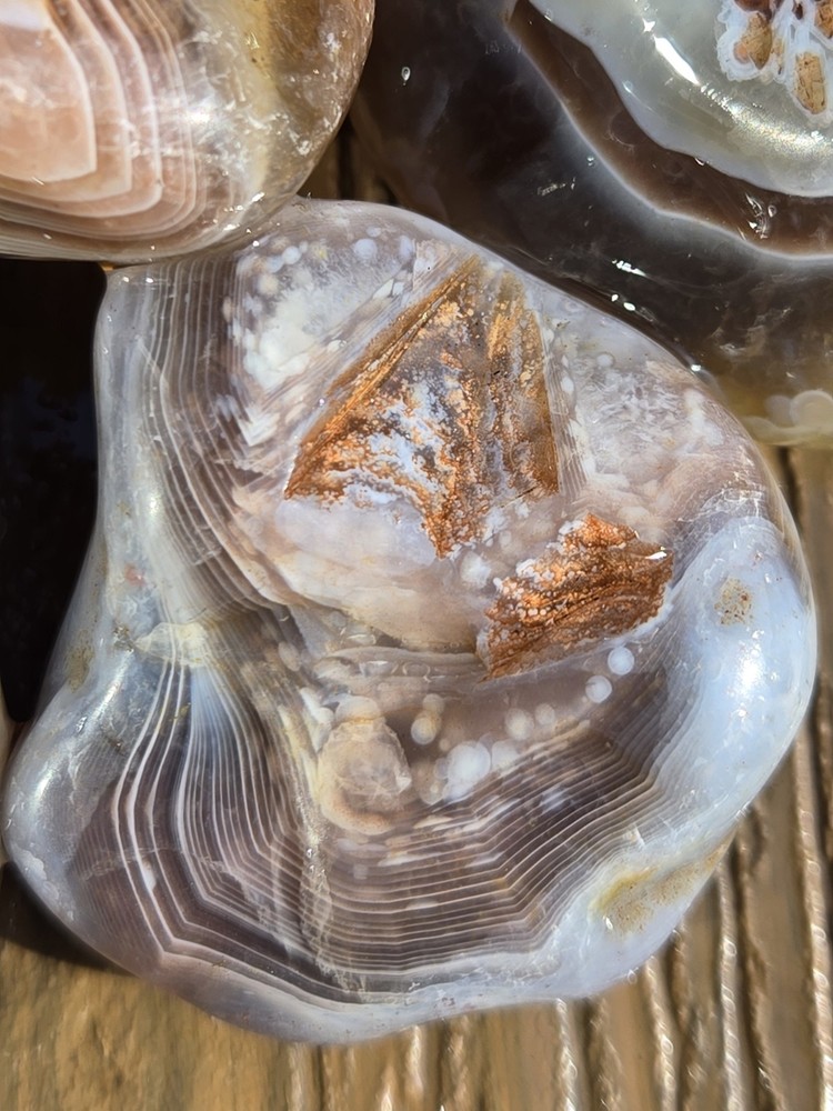 Botswana Agate Selects - ROLLING HILLS - Rough, Natural, Not Polished A+ Grade