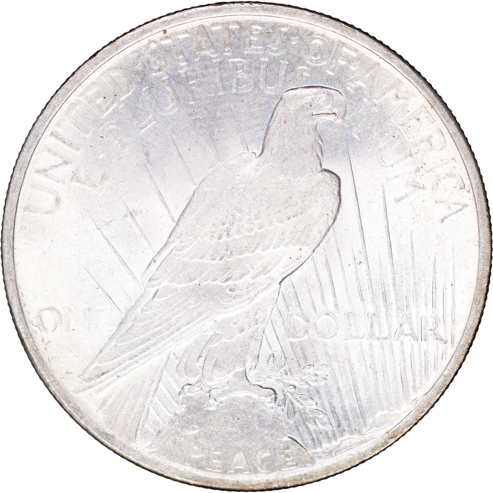 1924 $1 Peace Silver Dollar ~ Uncirculated