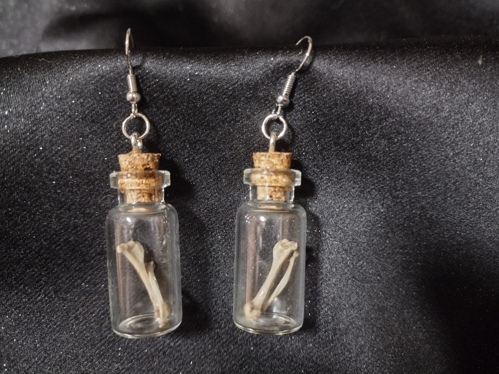 Rodent bone in glass jar earrings