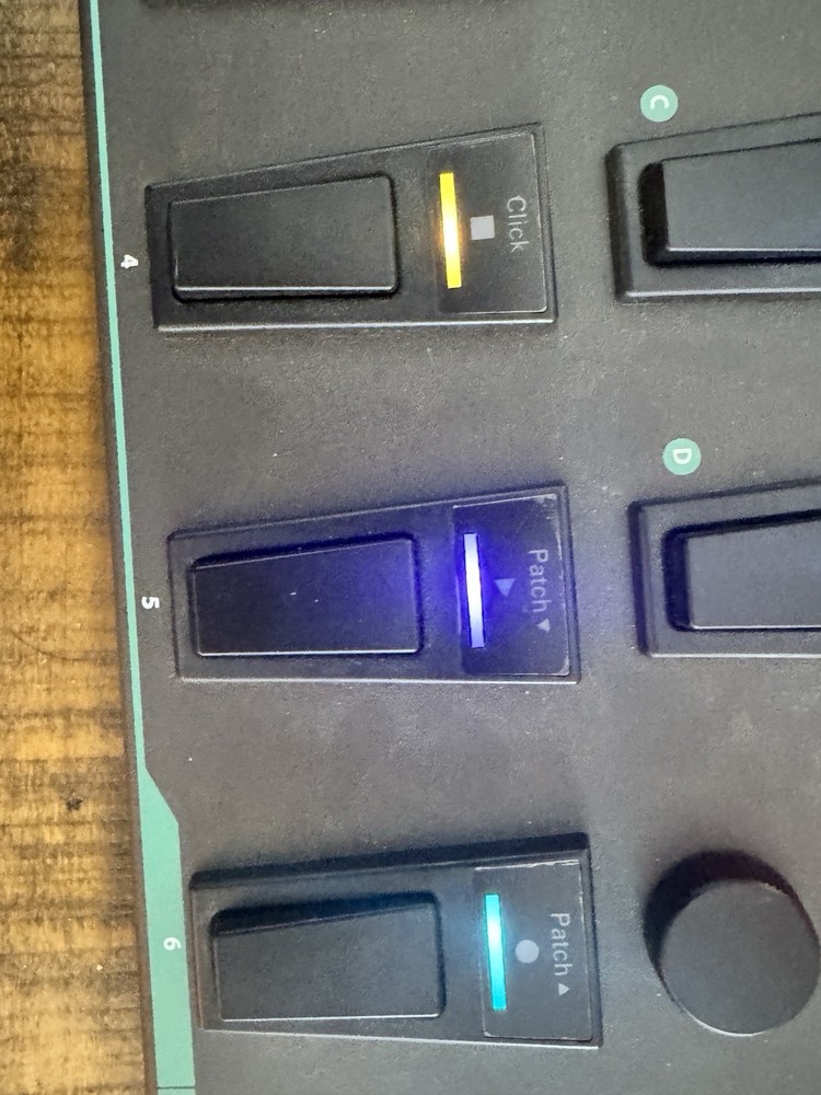 Nektar Pacer MIDI USB DAW Footswitch Controller Pedal