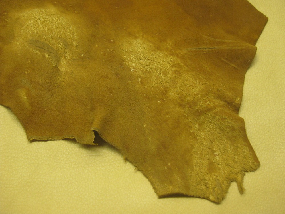 Top Grain Deer Leather #0010057 Row AA