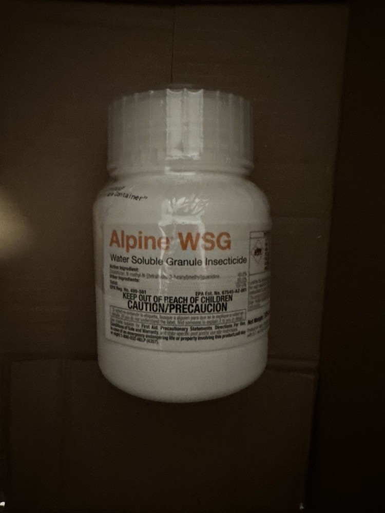 Alpine WSG