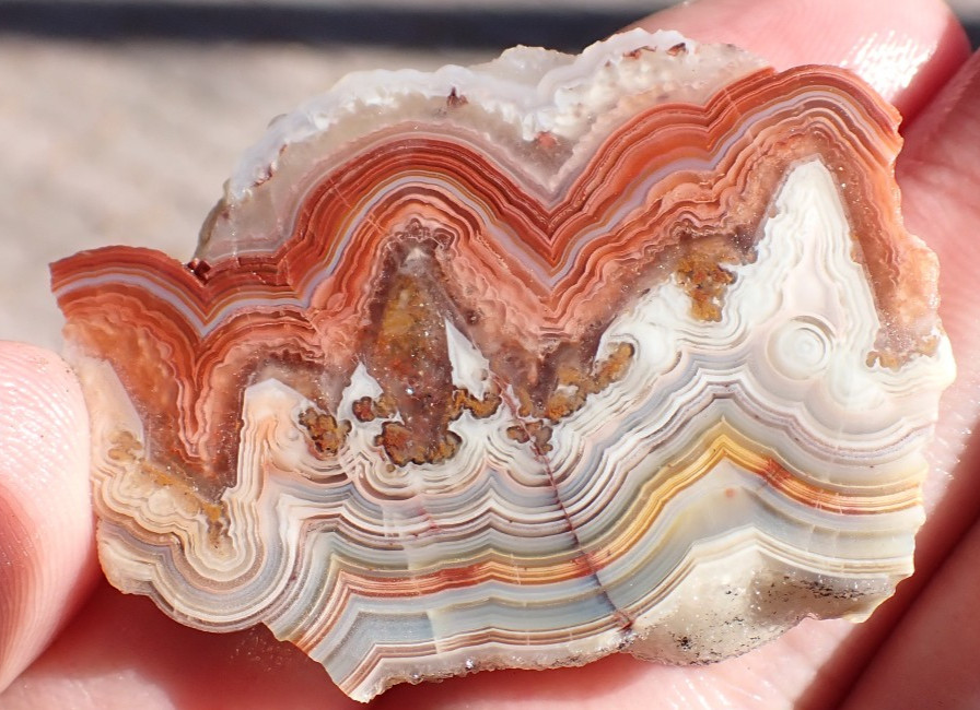 Laguna lace agate slab 14.6g