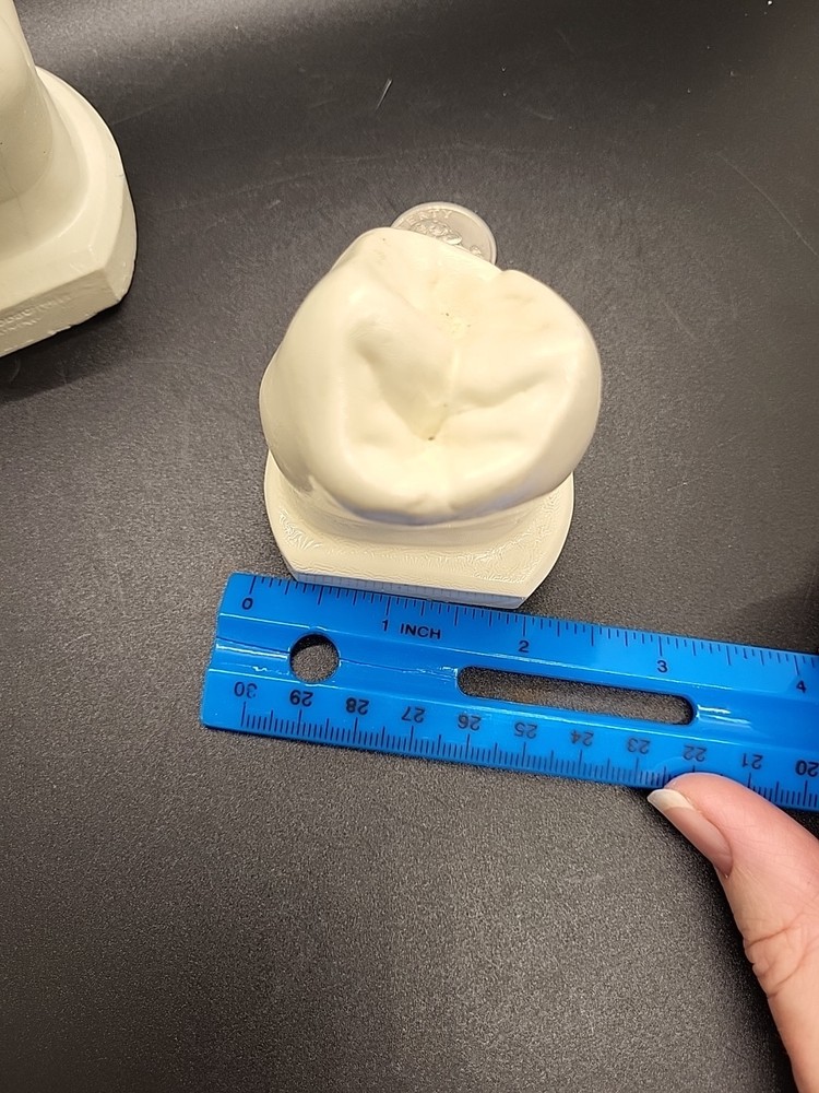 Two Weird Tooth Models 1970's