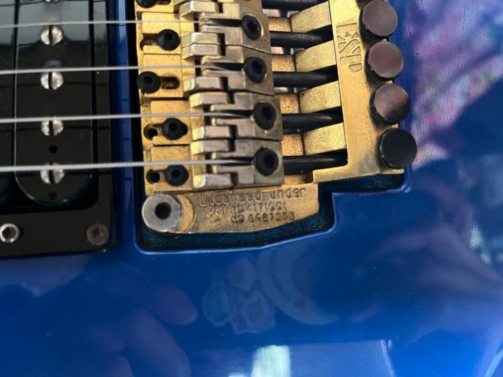 ESP Guitar Gig Bag Strap Safe Packing!