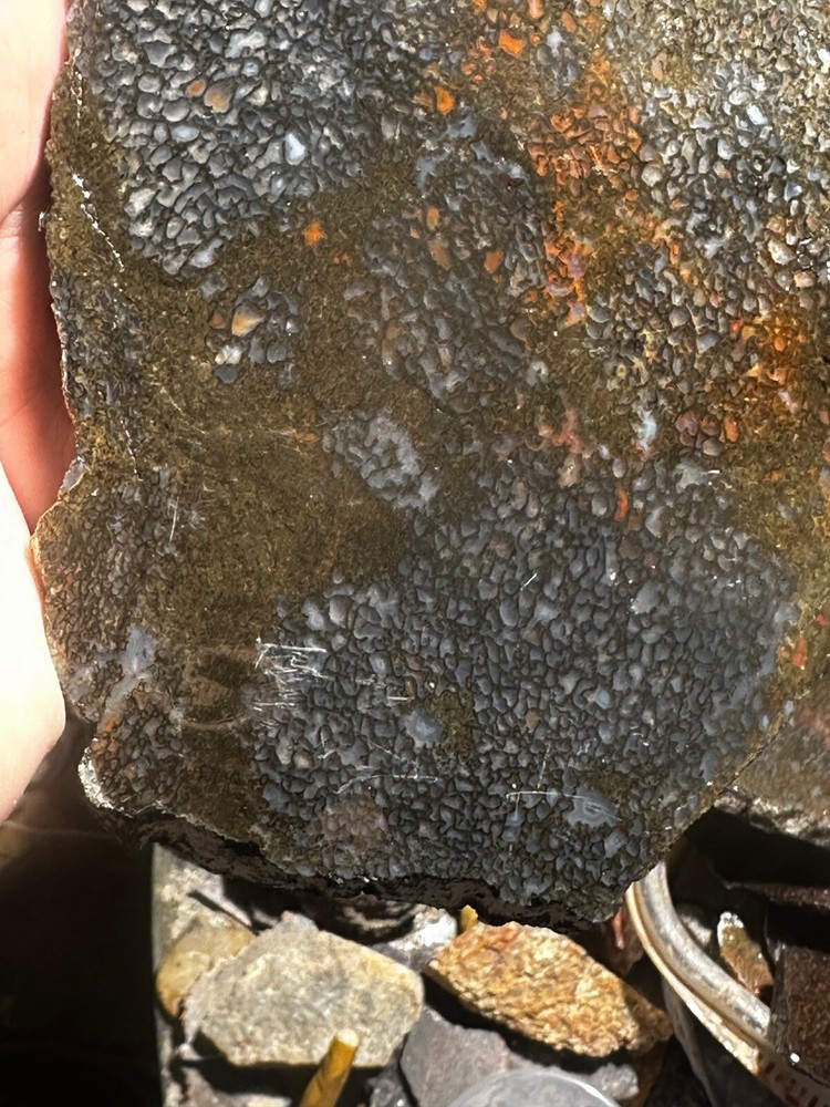 Dinosaur bone rough **hxtled large slab.