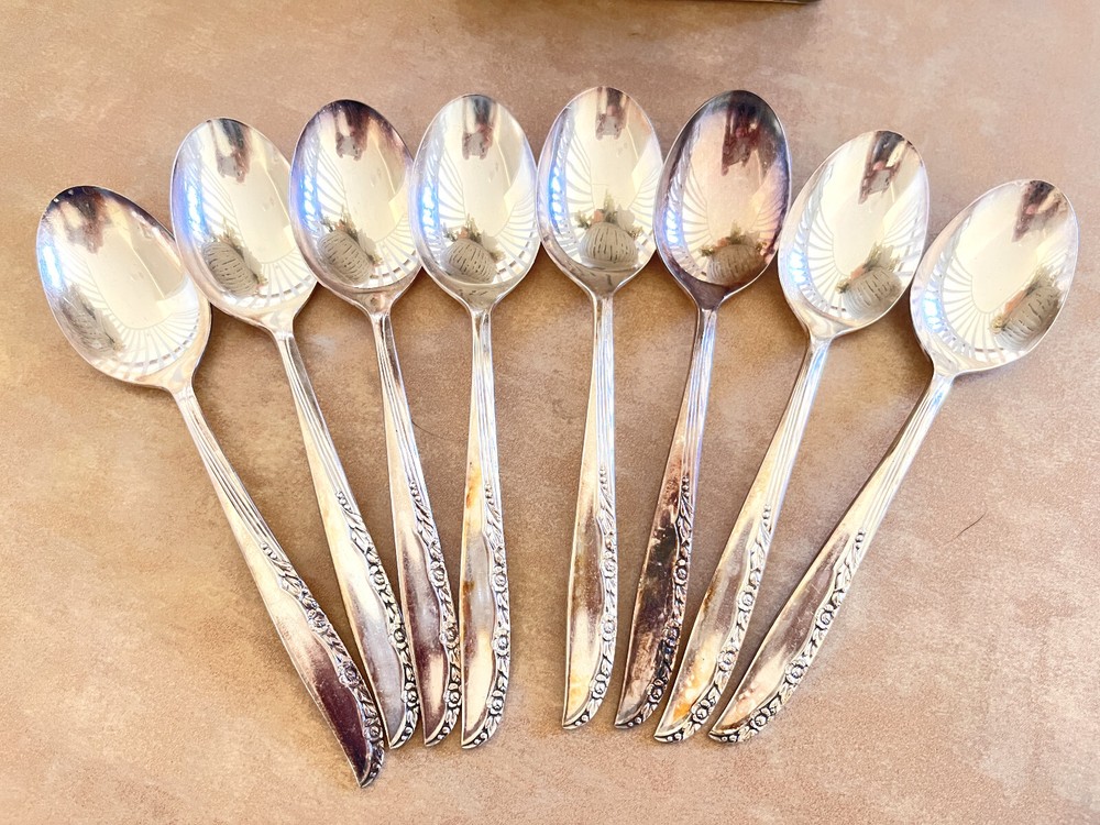 55 Pcs Oneida LTD WM.A. Rogers BRITTANY ROSE Silverplate Silverware Flatware Set