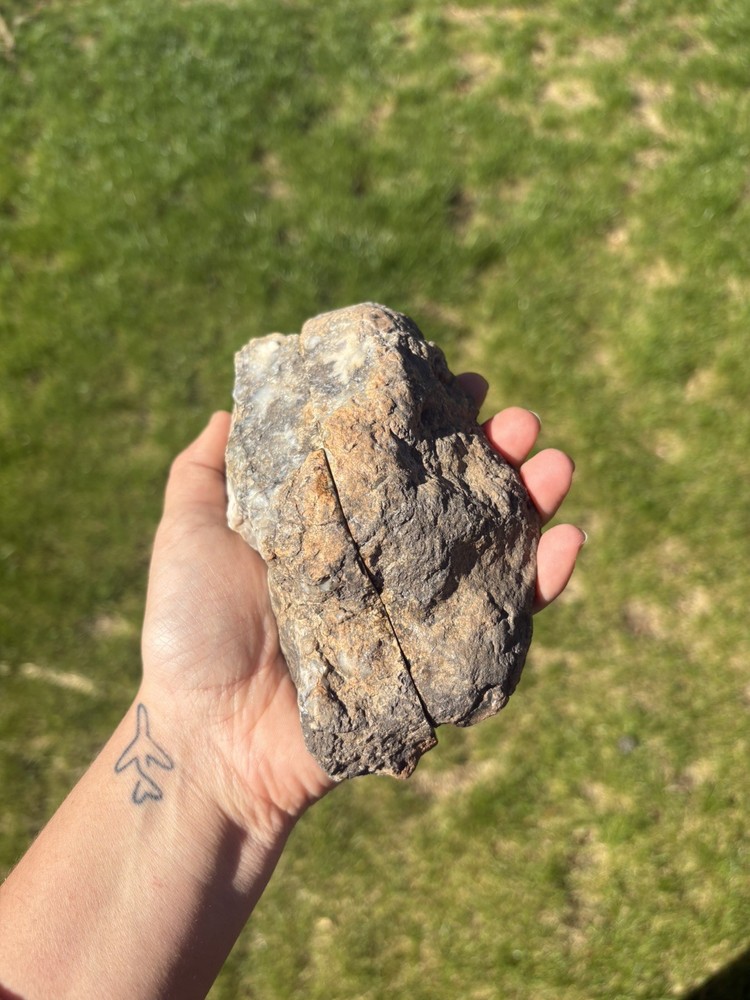 Dinosaur Coprolite (Poop) • Henry Mountains • 2lbs 3oz •