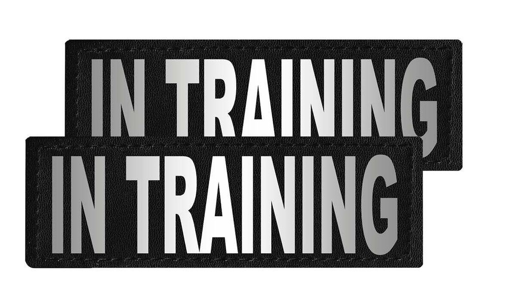 Removable Patches (2 Per Pack) - 2 x 6" IN TRAINING