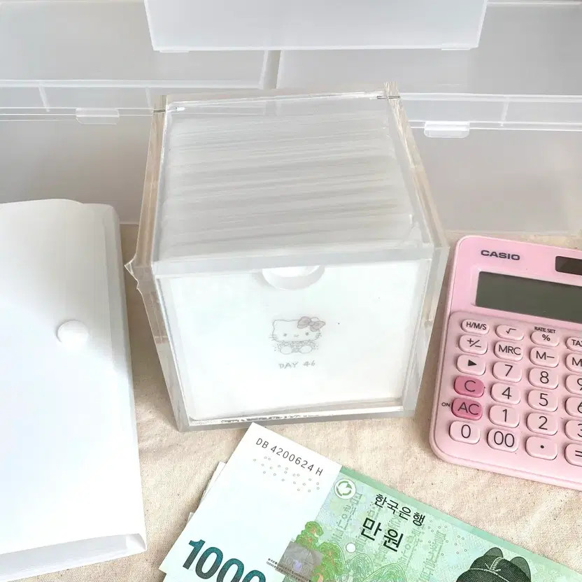 Kitty 100-Day Savings Challenge + Saving Box