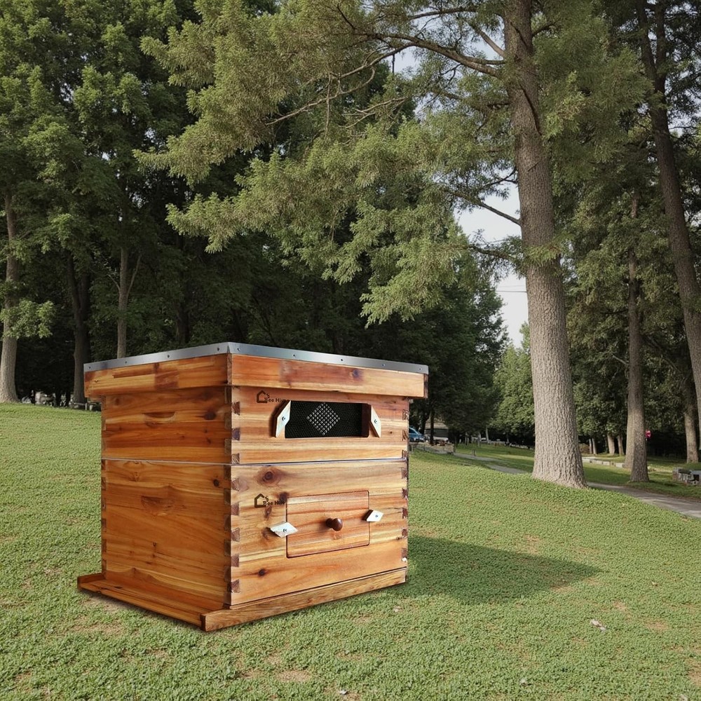 2 Layer Beekeeping Starter Hive 1 Deep 1 Medium 20 Frame Cedarwood Kit w/ Window