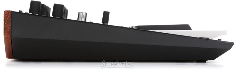 Korg monologue Analog Synthesizer - Blue