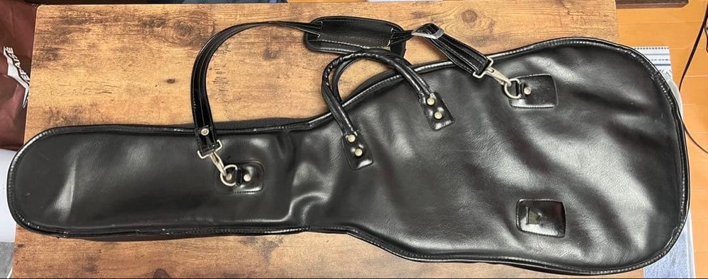 ESP Guitar Gig Bag Strap Safe Packing!