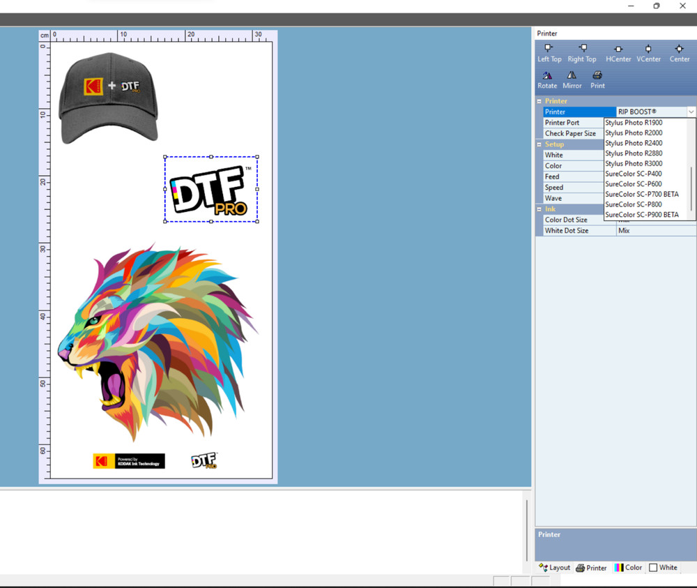 DTF RIP V11 Software Desktop Version USB Flash Drive/Dongle