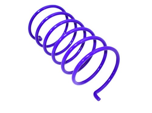Epi Performance BCS20 Erlandson Clutch Spring ,Purple