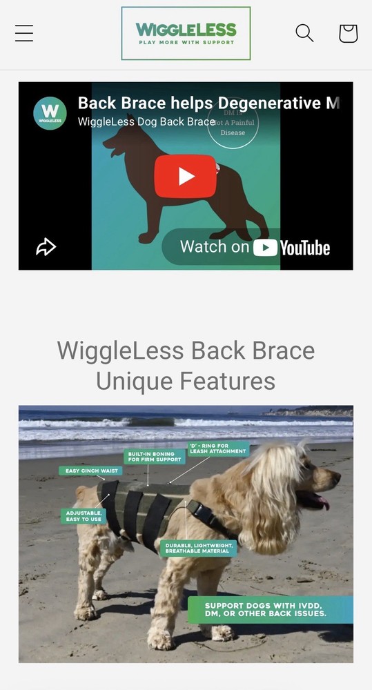 Wiggleless Back Brace for Dogs with IVDD- Size Medium
