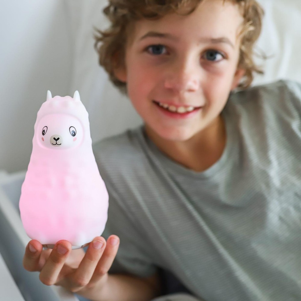 Rechargeable 9 Color LED Duski Night Light and Bluetooth Speaker