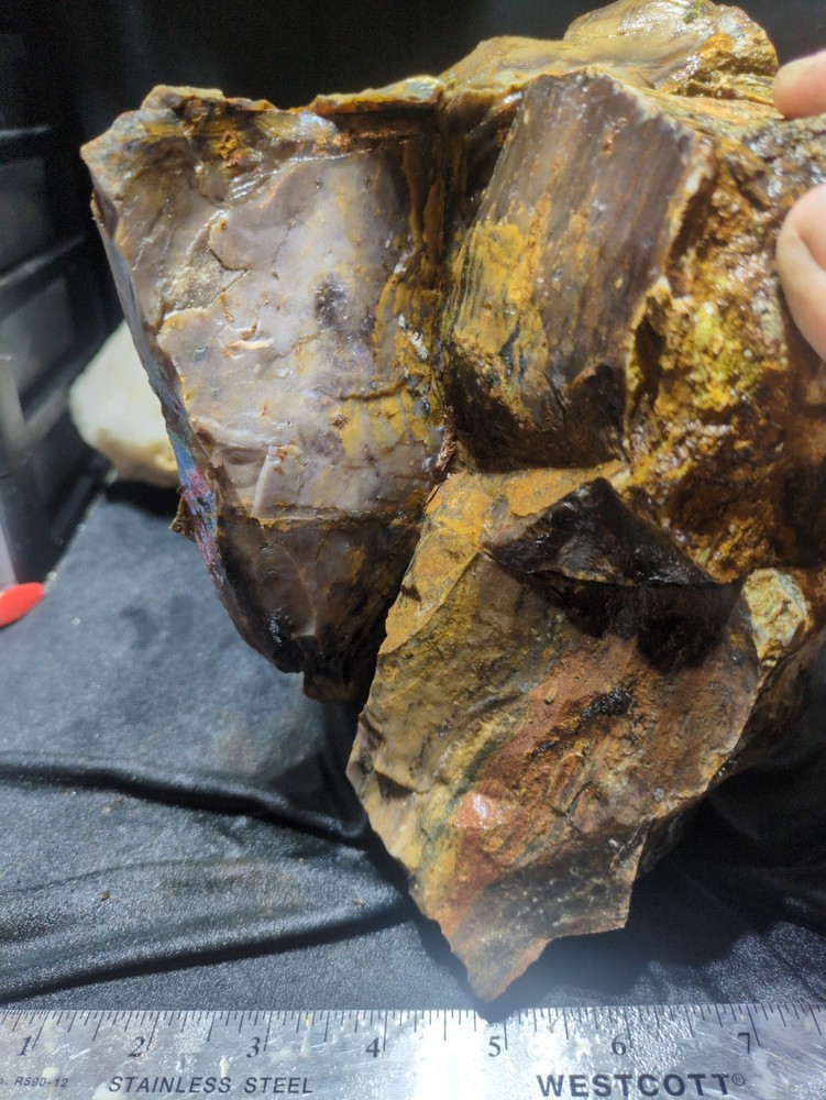 Biggs Jasper Specimen w/ Dendric Natural Form (7lbs 12oz)
