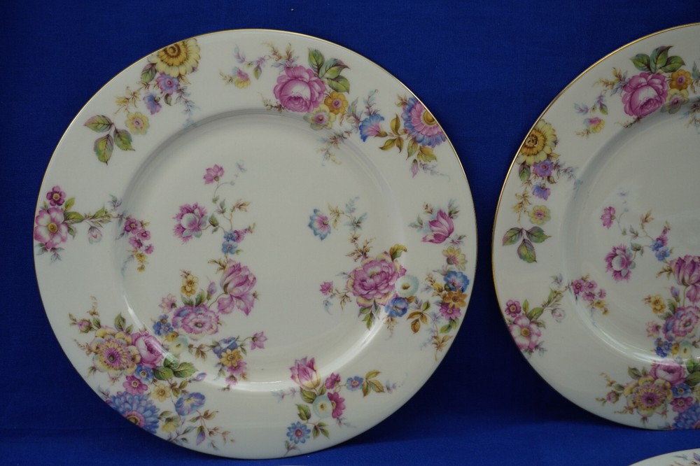 Castleton Sunnybrooke (4) Dinner Plates, 10 3/4" (B54)