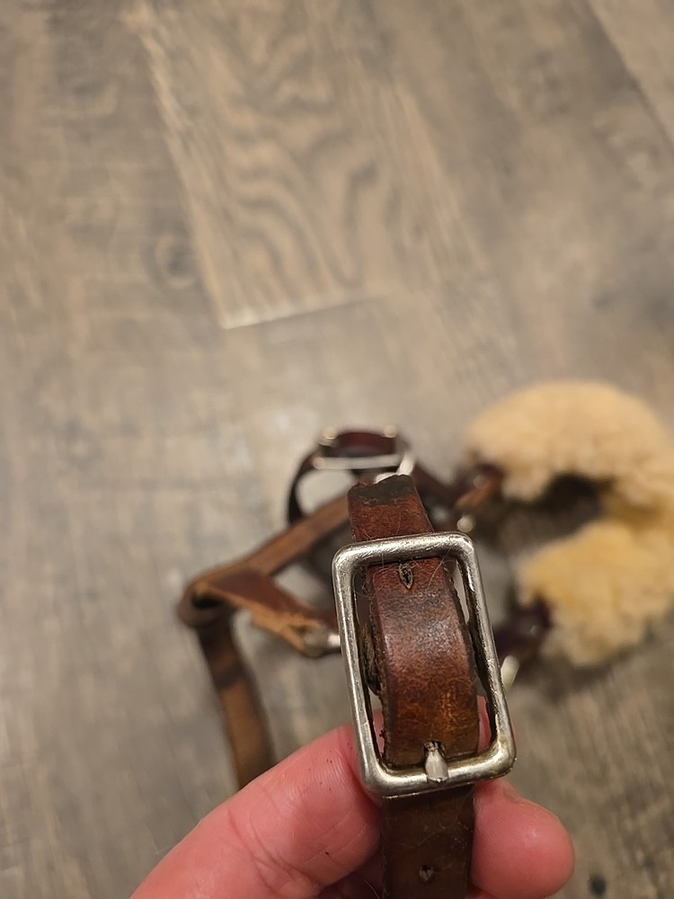 Horse Halter Weanling Size