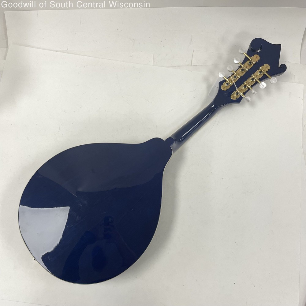 Washburn M1SDLTBL Mandolin