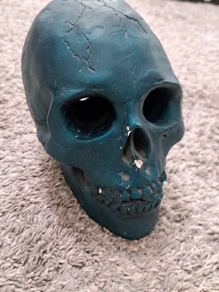 Skull