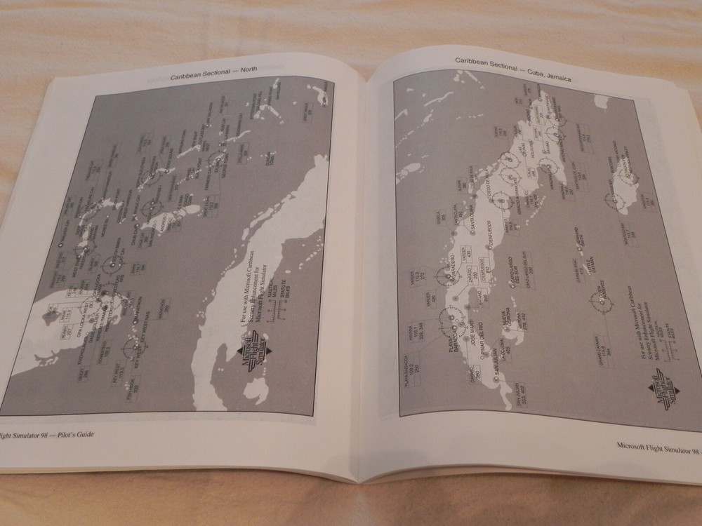 Microsoft Flight Simulator 98 Pilot's Handbook, As Real As It Gets, 15 Years