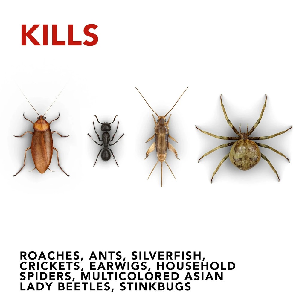 Raid Ant & Roach Killer Spray For Listed Bugs, Keeps Killing for Weeks