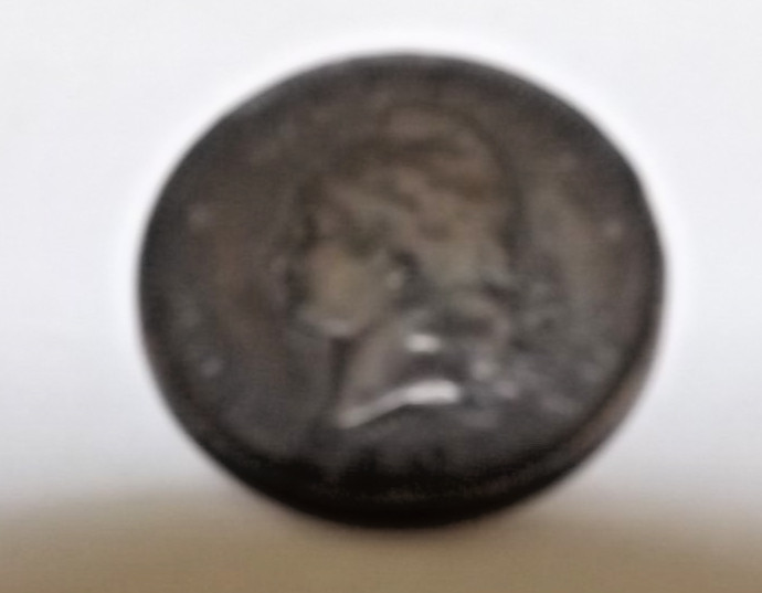 Argentina Dos Centavos 1892 Coin