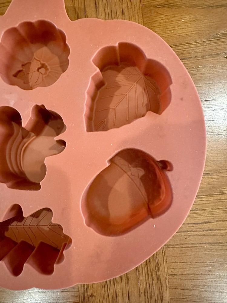 Fall Themed Oven Safe Silicon Cake Mold Set, EUC