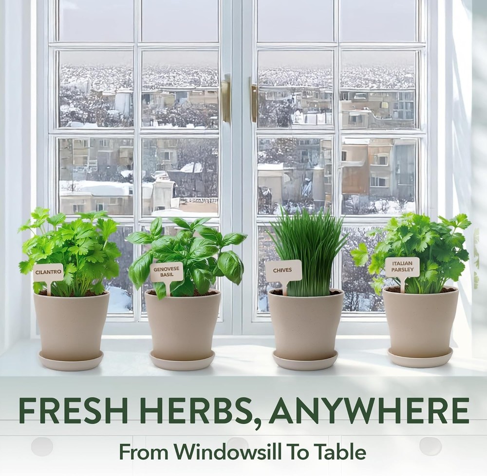 Beginner-Friendly Indoor Herb Starter Kit – Grow 4 Heirloom Plants Effortlessly